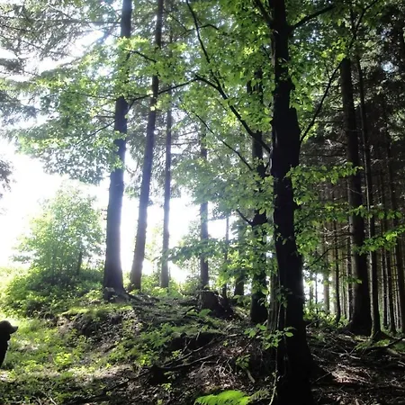 Hof Hoechi By Interhome Apartament St. Gallen