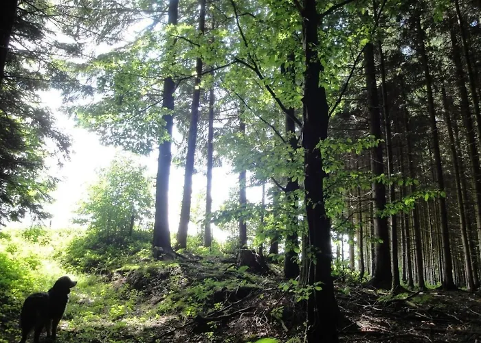 Hof Hoechi By Interhome Apartamento St. Gallen